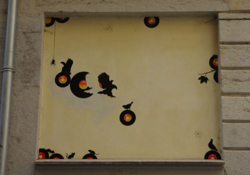 10295246_830560686972442_643597078764521983_o