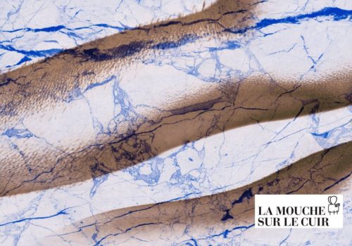 La-mouche-sur-le-cuir