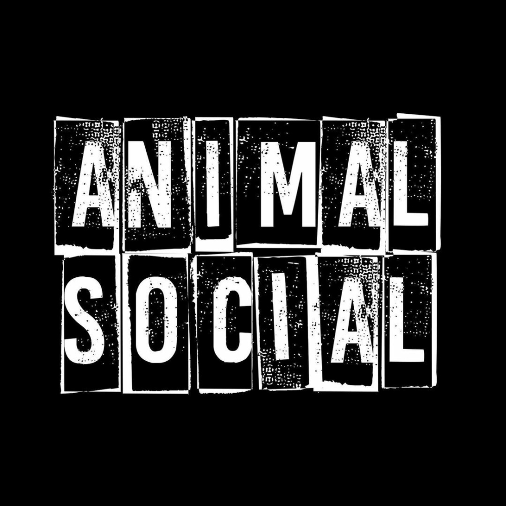 Rencontre avec : <br /> Ink Ponk d’Animal Social