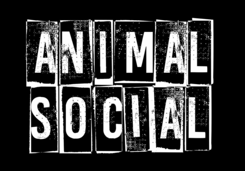 311293625_5582893045152192_2220102589839811113_n